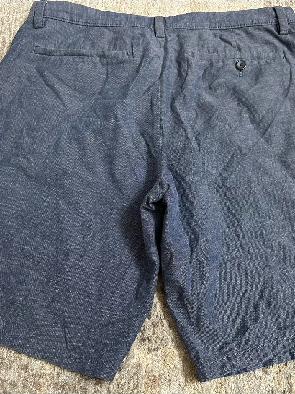 Banana Republic Blue Aiden Short